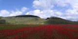 Castelluccio